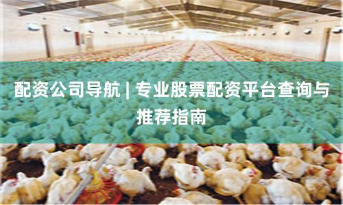 配资公司导航 | 专业股票配资平台查询与推荐指南